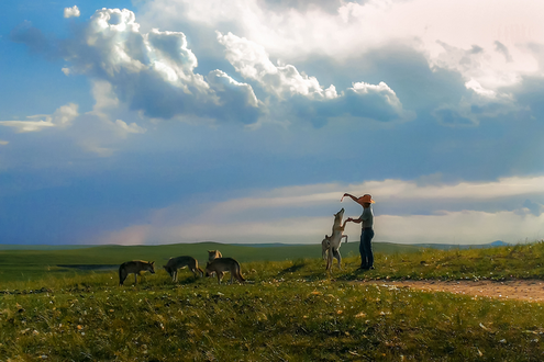 Dongwuzhumqin Wolf Valley Tourist Area