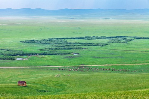 Peking-Alsan Große Rundreise - 11 Tage