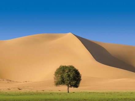 Kubuqi National Desert Park Seven Star Lake Scenic Area