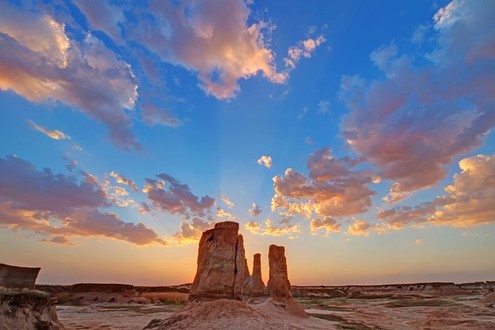 Datong Earth Forest