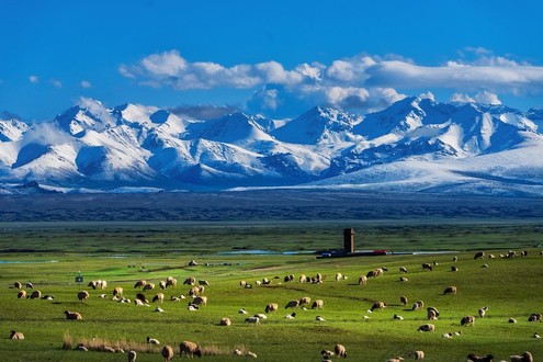 Bayinbuluk Grassland