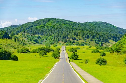 Fairy Mountain National Forest Park