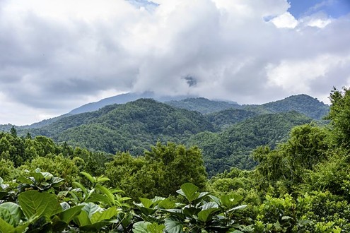 Berg Wuzhishan