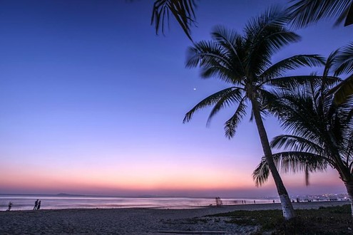 Coconut Dream Promenade