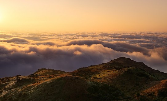 Tai Mo Shan Country Park