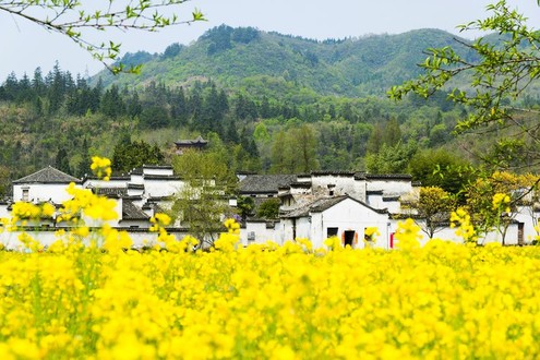 Hongcun, die schönste Landschaft der chinesischen Malerei