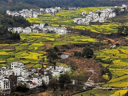 Jiangling Scenic Area