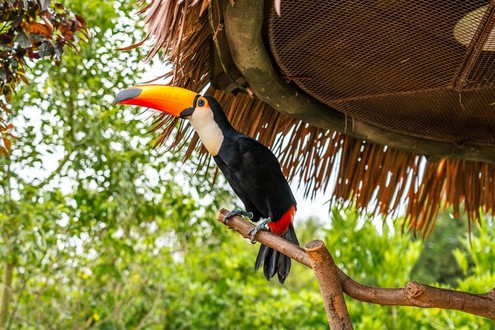 Shanghai Zoo