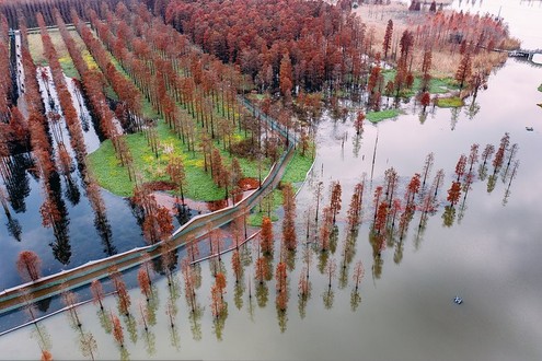 Qingxi Vorstadtpark, ein versteckter Geheimtipp in Shanghai