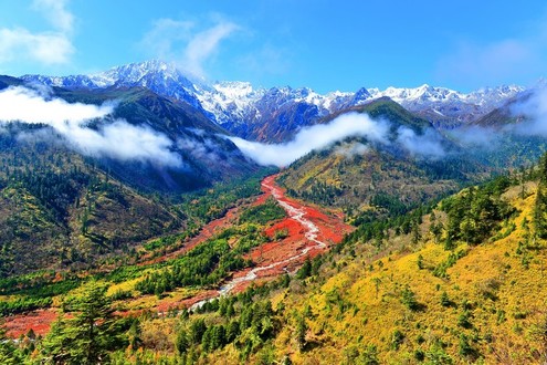 Hailuogou National Forest Park