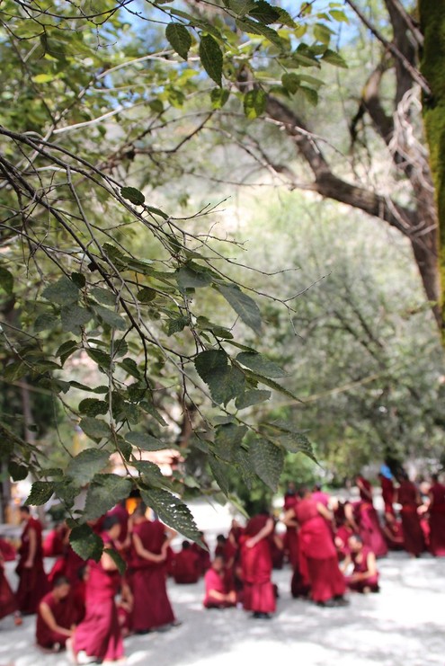 Sera Monastery