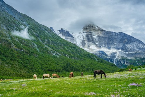 Daocheng Yading